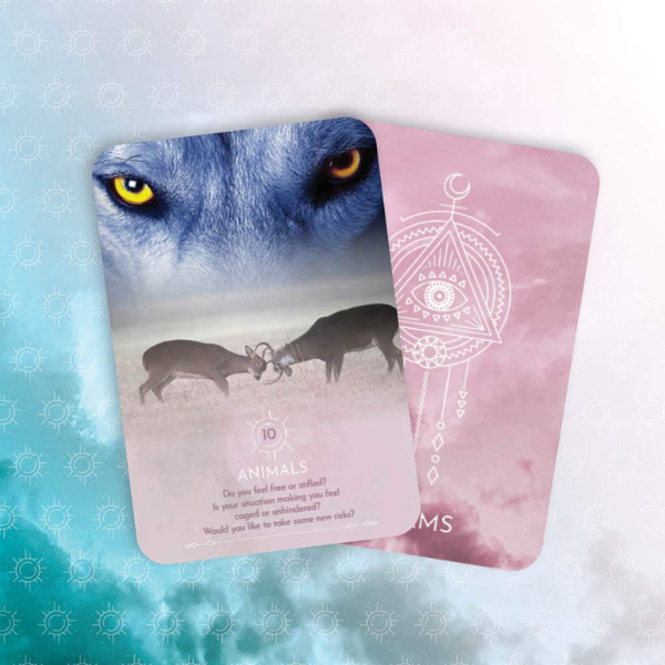 Dream Reading Cards: Awaken Your Intuitive Subconscious