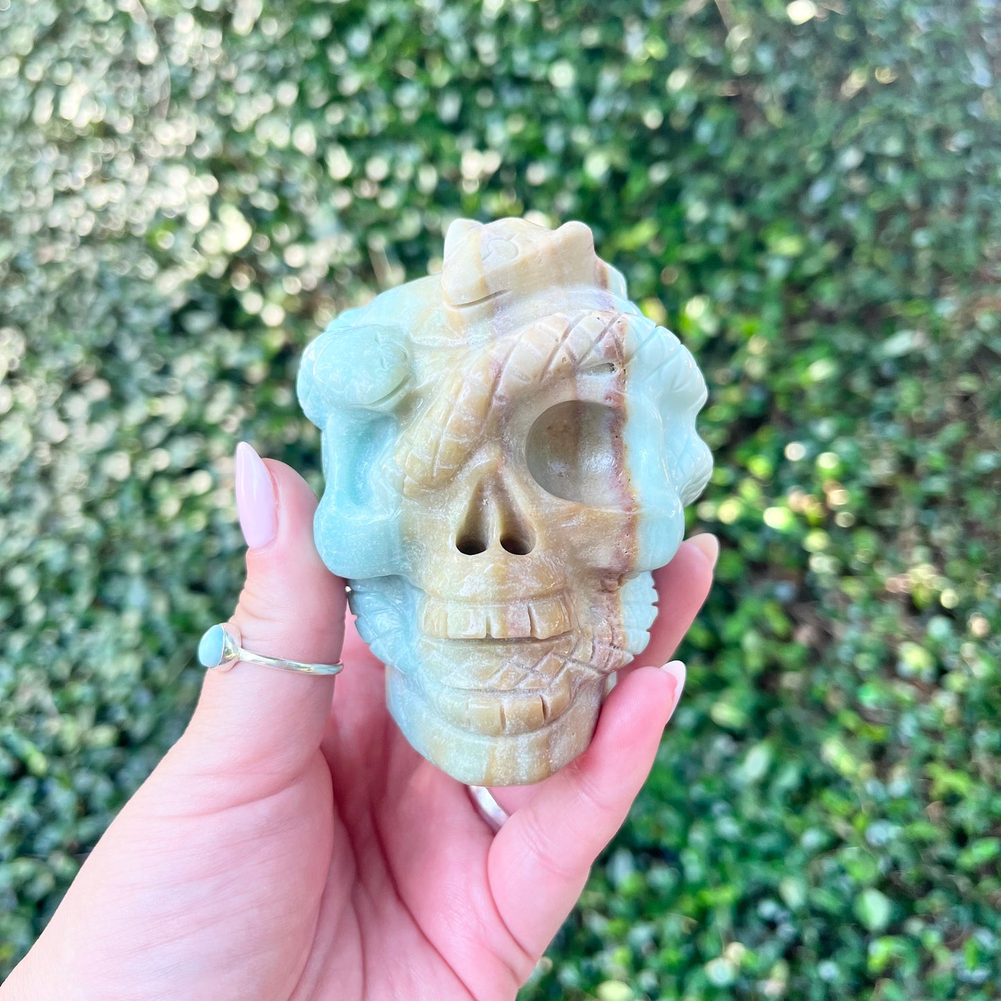 Caribbean Calcite Skull + Snakes