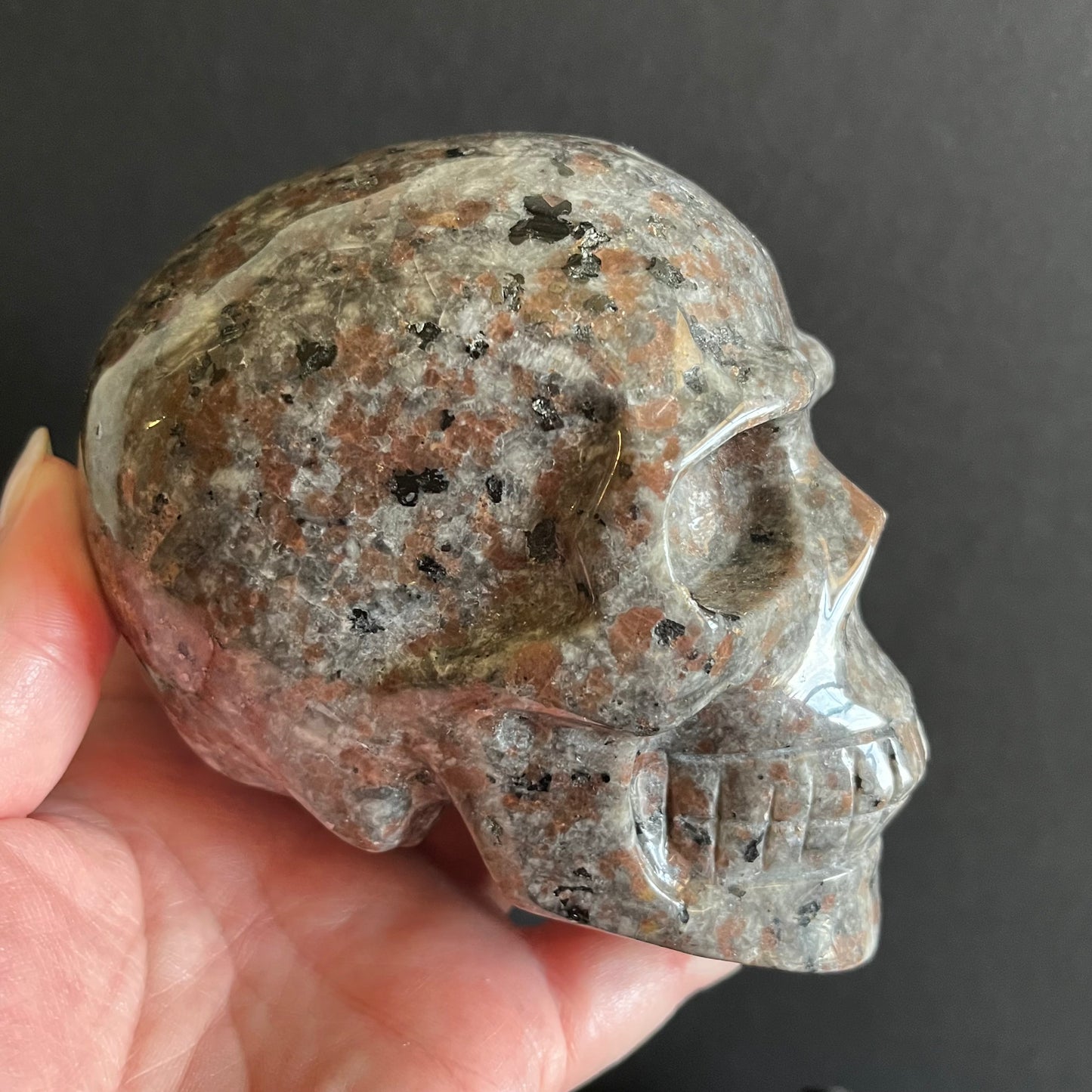 Yooperlite UV Reactive Skull