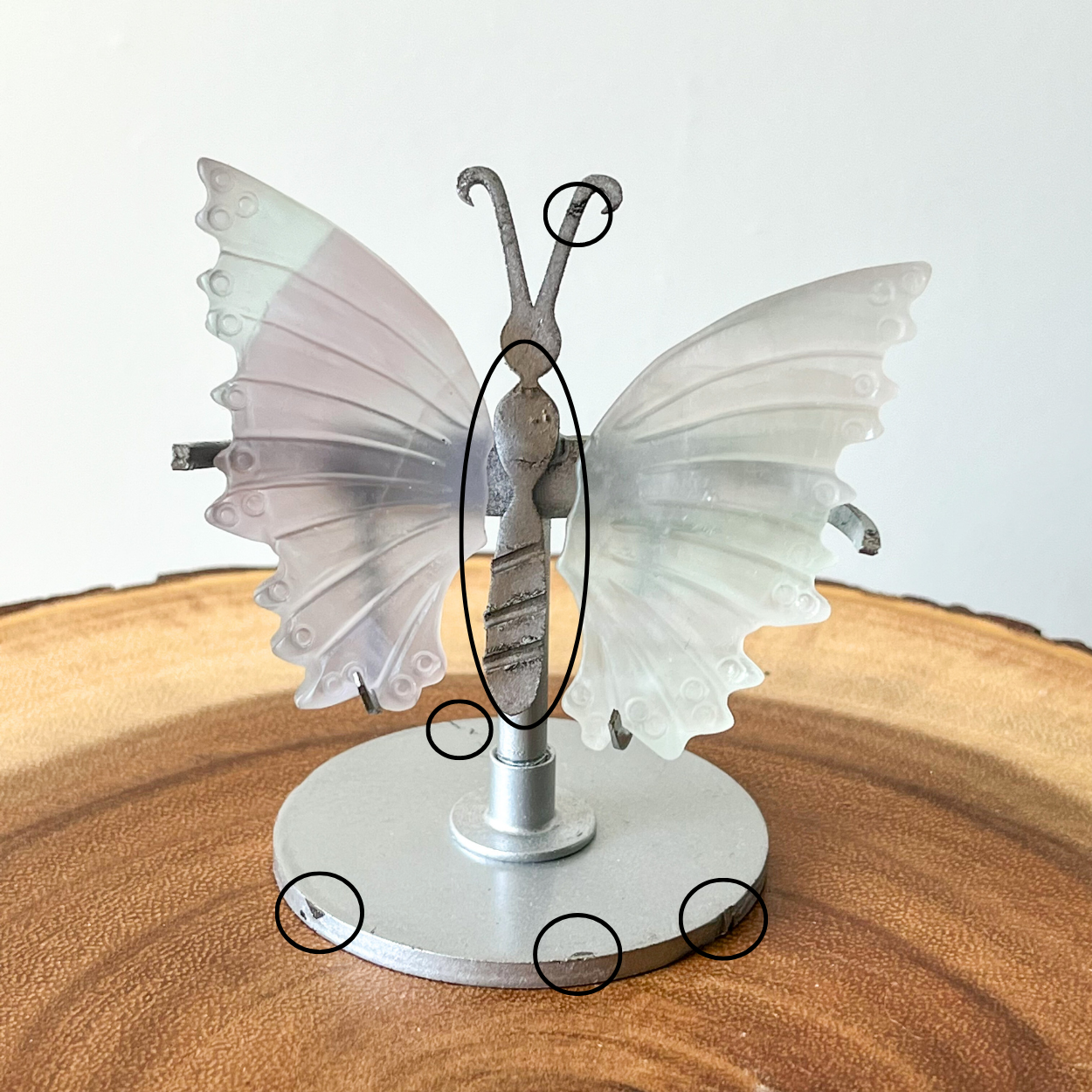 Small Fluorite Butterfly Wings + Stand - B