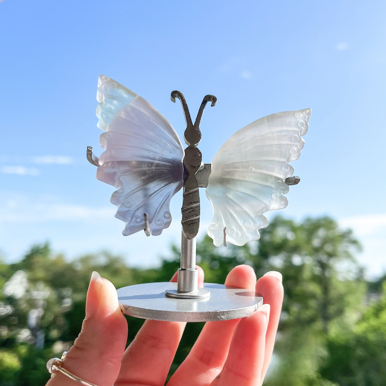 Small Fluorite Butterfly Wings + Stand - B