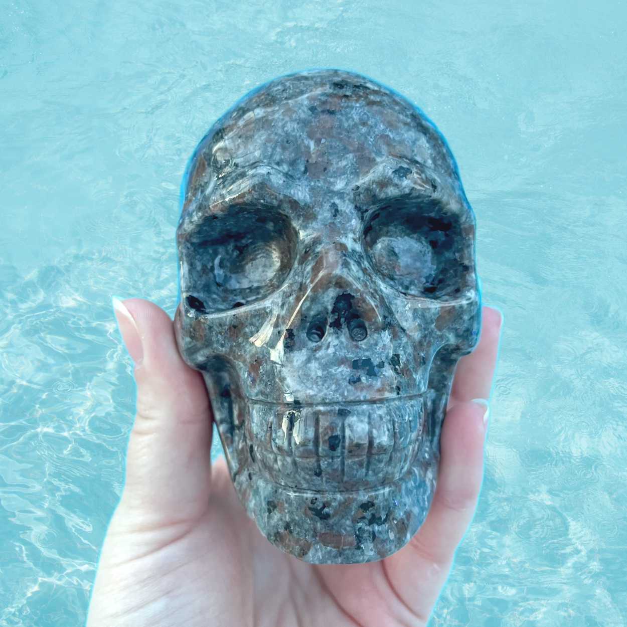 Yooperlite Skull