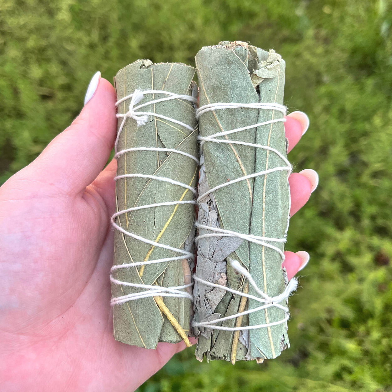 Bay Leaf + White Sage Bundle