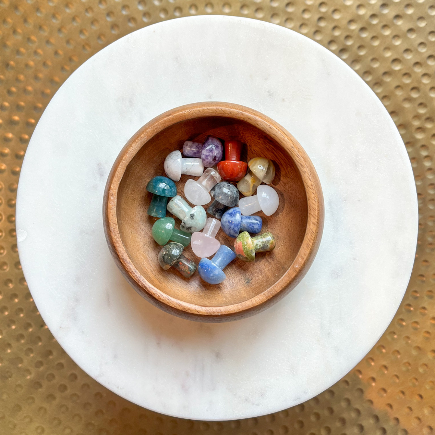 Mini Mushroom - Intuitively Selected