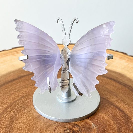 Small Fluorite Butterfly Wings + Stand - A