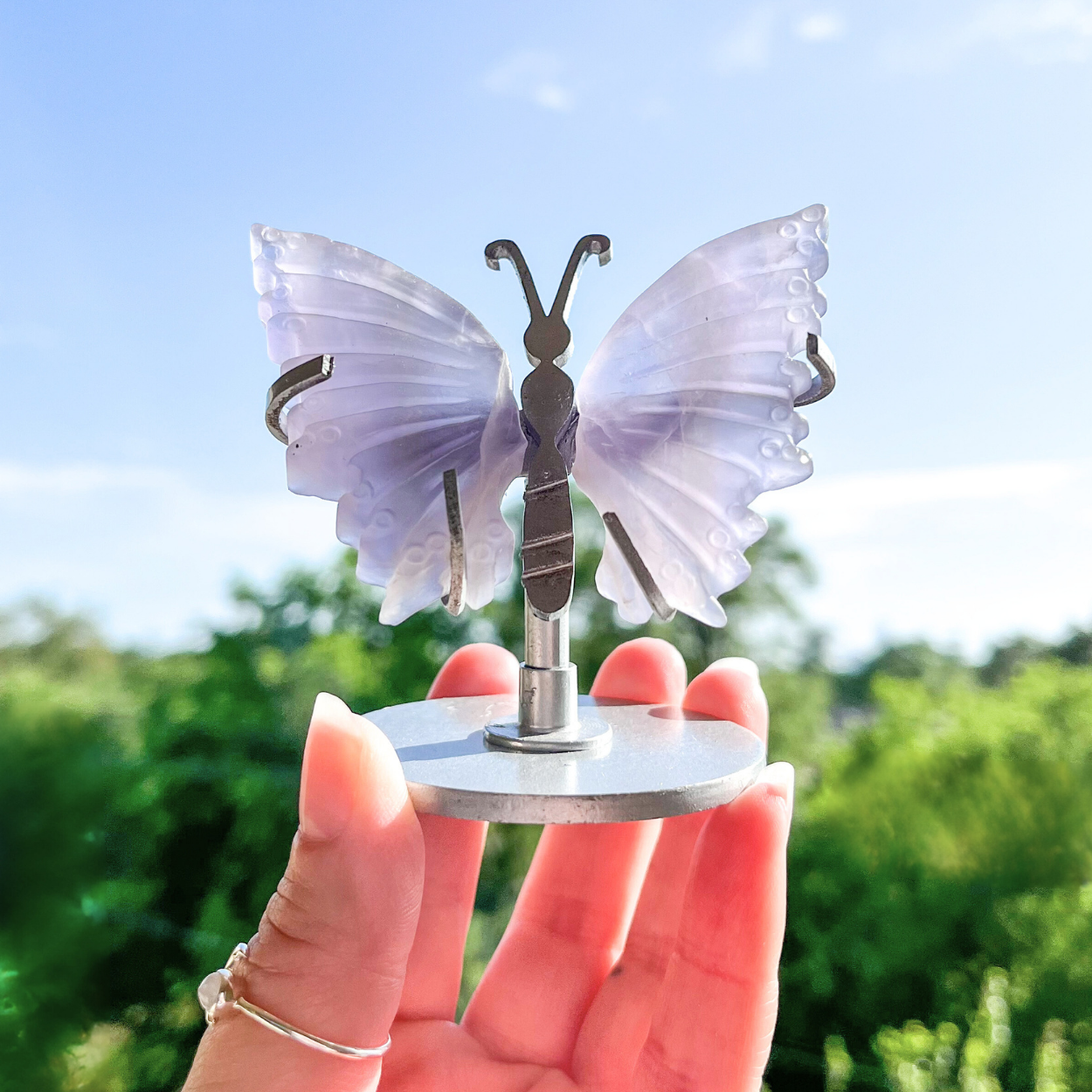 Small Fluorite Butterfly Wings + Stand - A