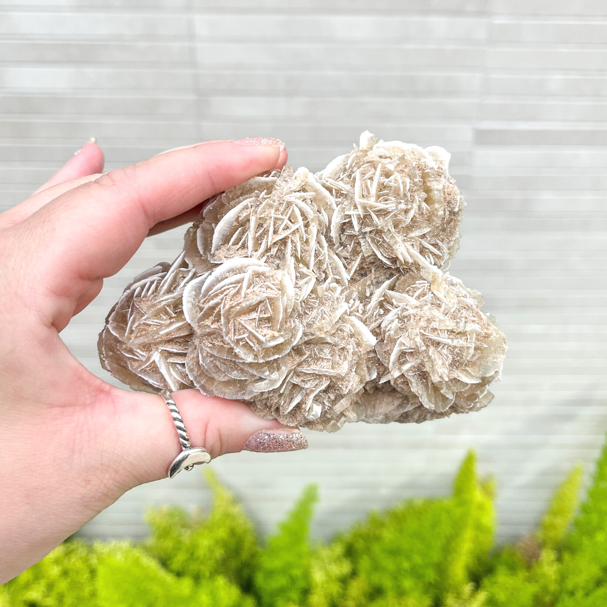 Large Desert Rose Selenite Specimen