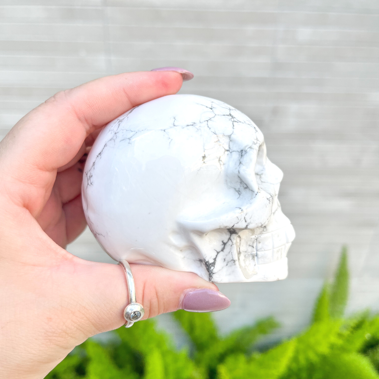 Howlite Skull
