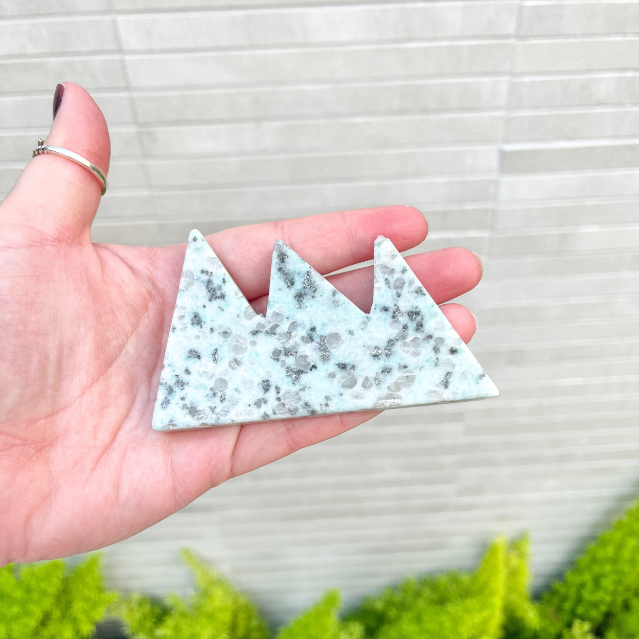 Small Kiwi Jasper Mountain