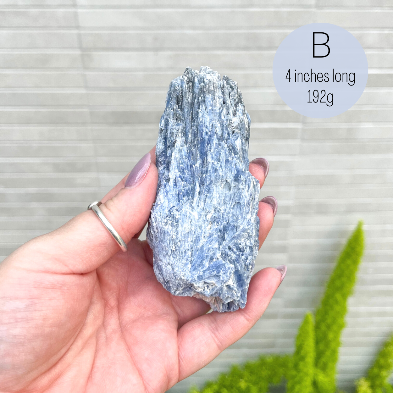 Blue Kyanite Specimen