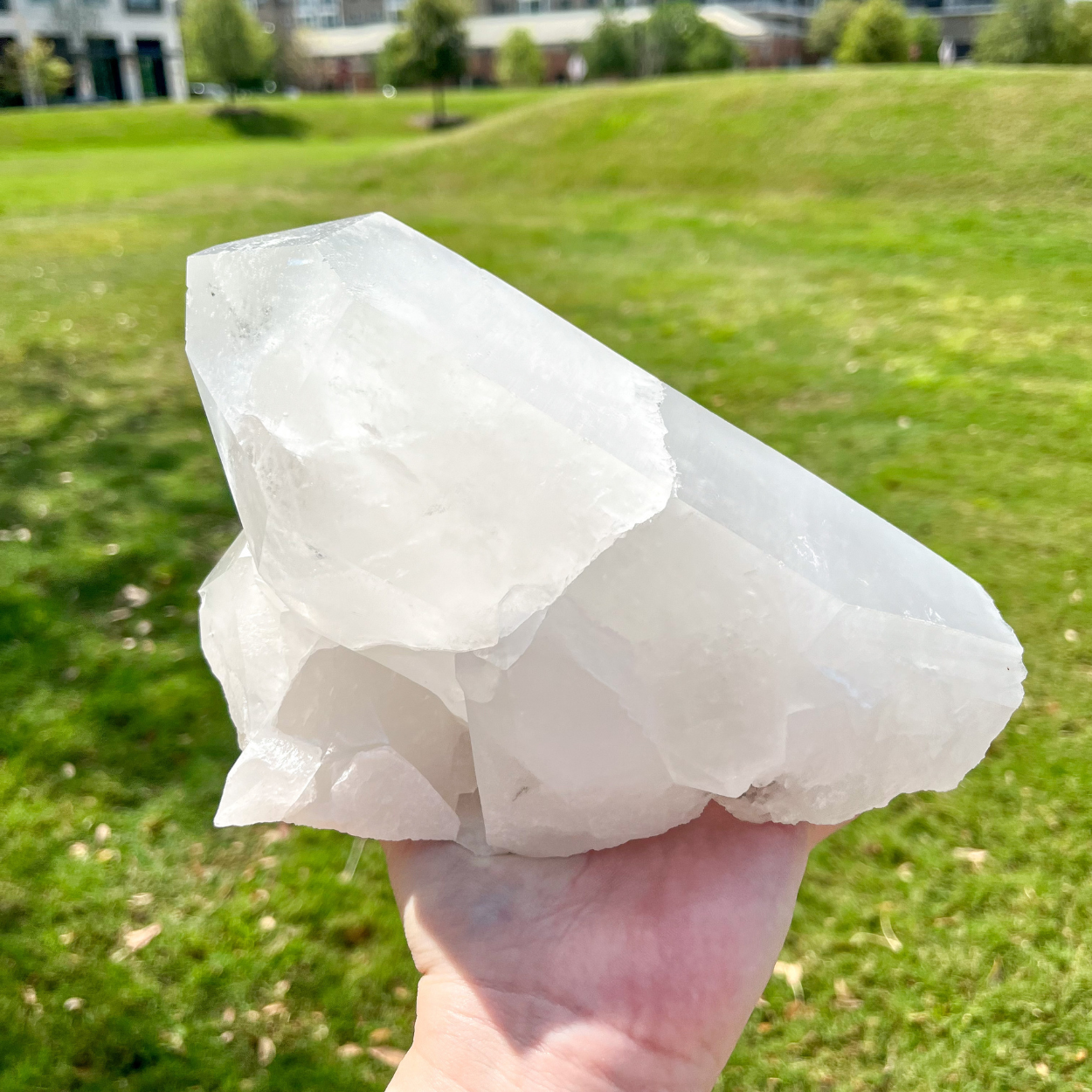 XXL Clear Quartz Cluster