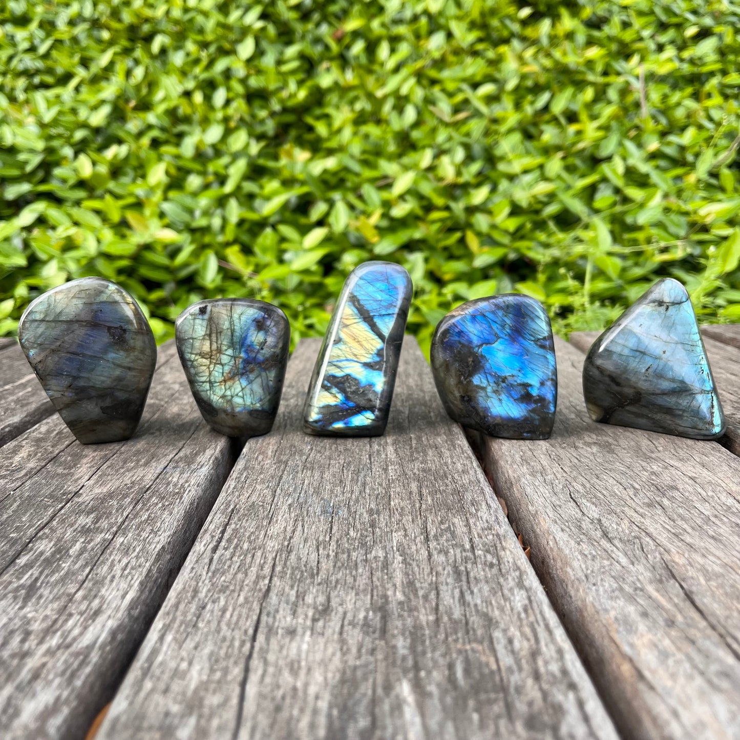 Small Labradorite Freeform