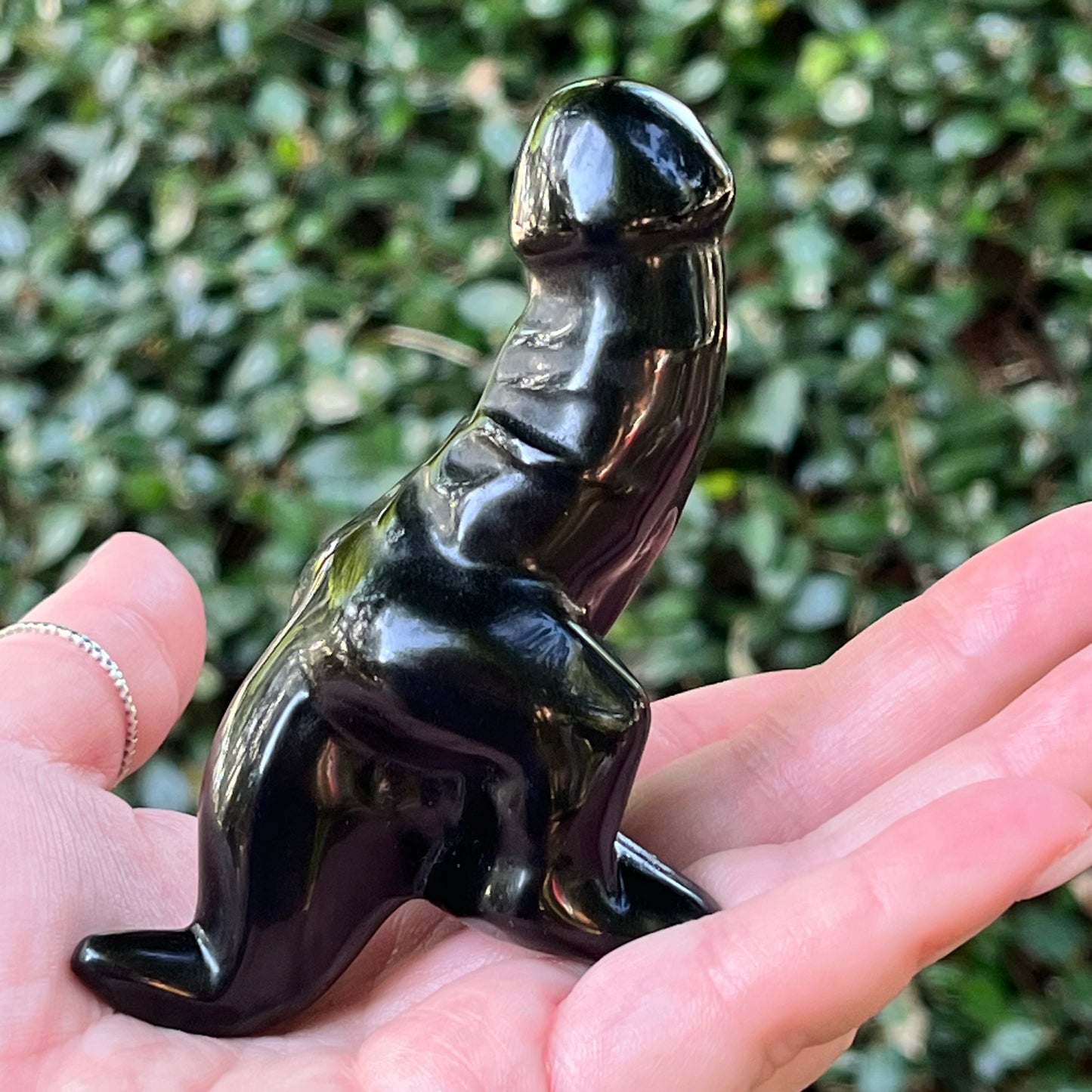 Obsidian Penisaurus