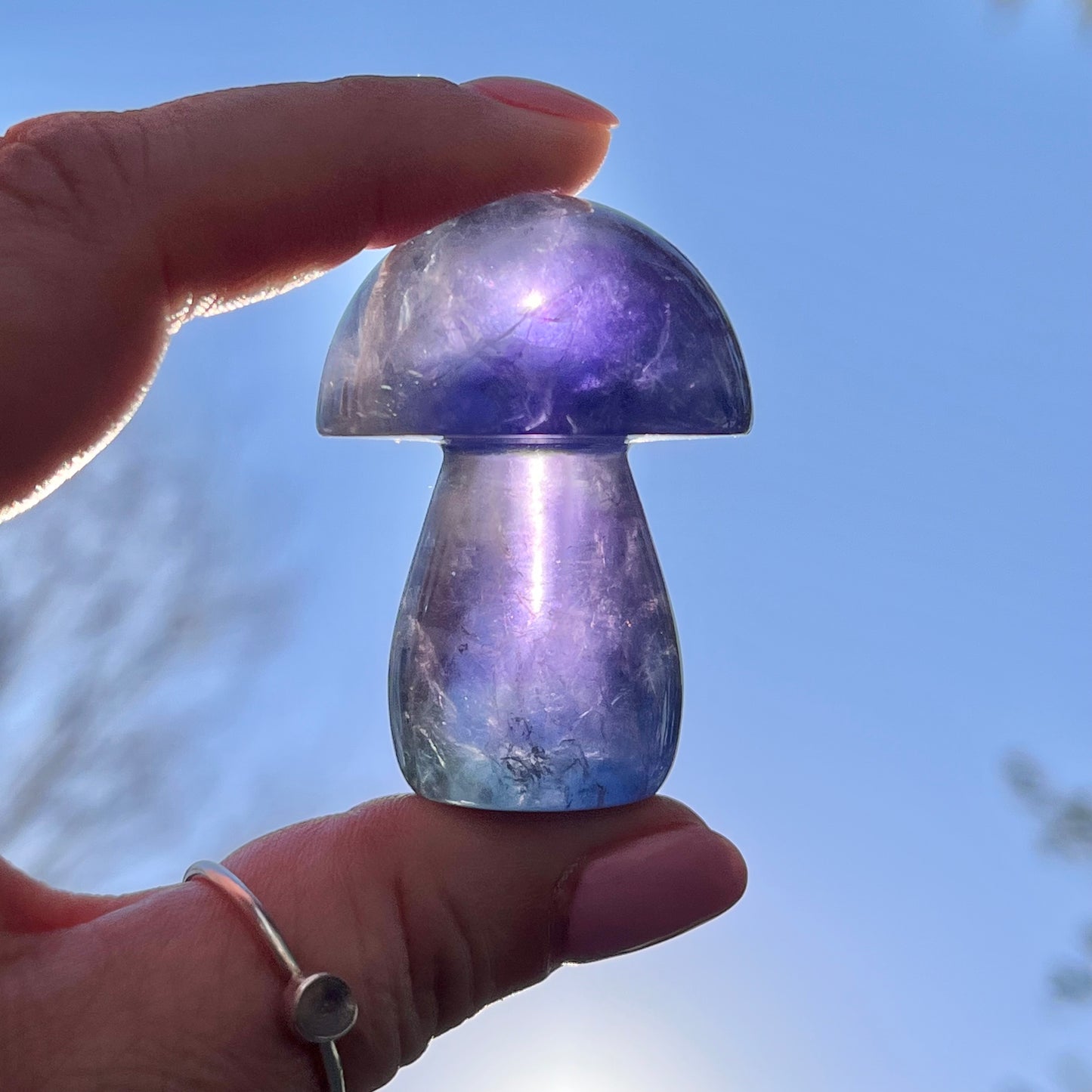 Blue Fluorite Mushroom