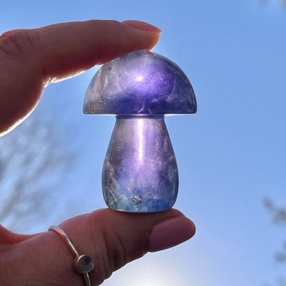 Blue Fluorite Mushroom