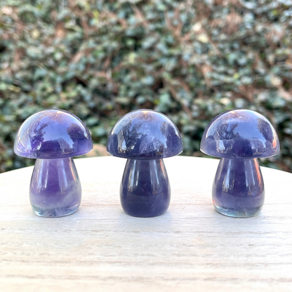 Blue Fluorite Mushroom