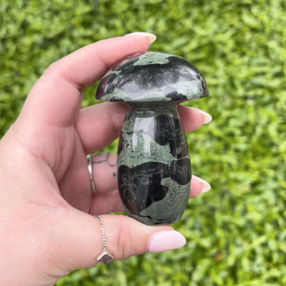 Large Kambaba Jasper Mushroom