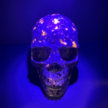 Yooperlite Skull