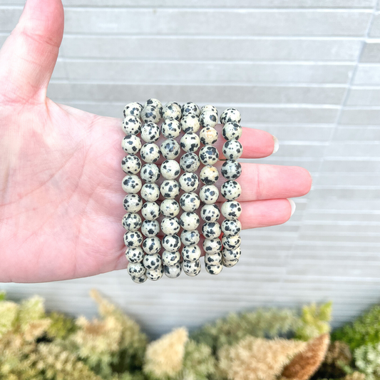 Dalmatian Jasper Bracelet