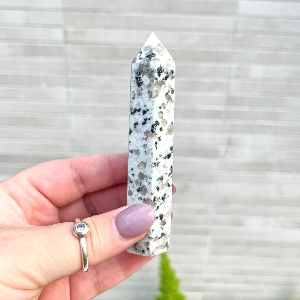 Kiwi Jasper Tower